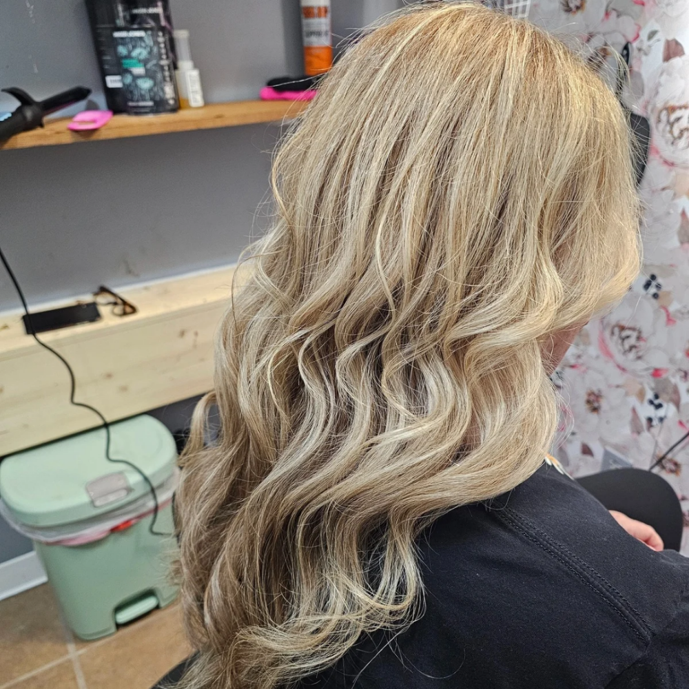 Partial Highlights Plus Roots