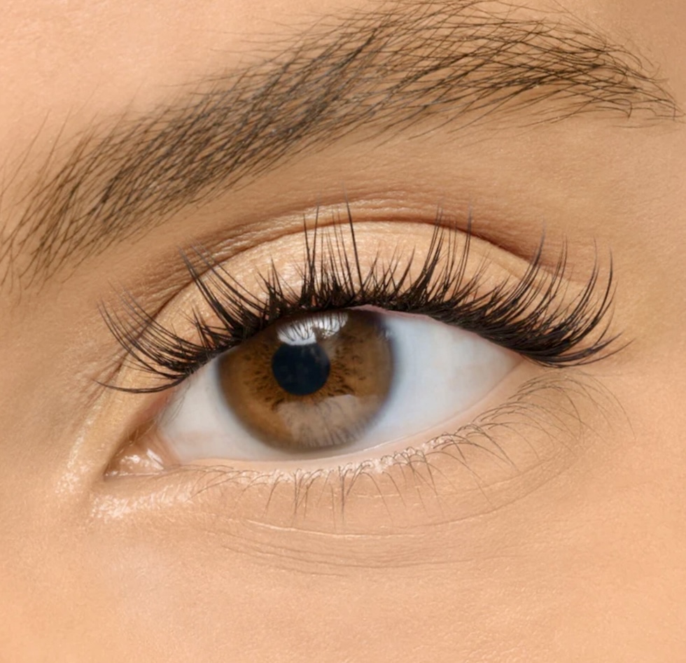 Cluster - Application & Lashes