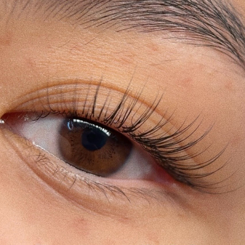 Lift + Lash Enhancement at The Lash Standard in Lomita, CA