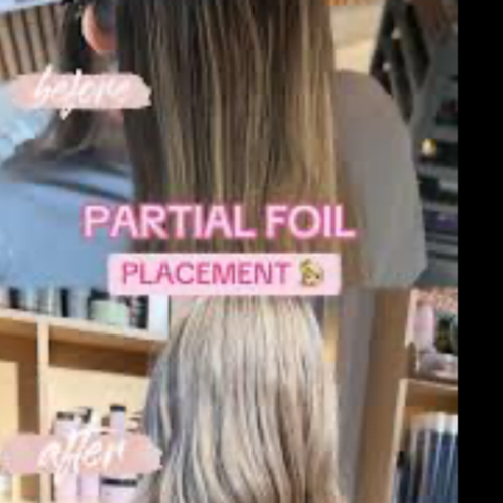 Partial Highlights - at Wild Hair Spa in Westmoreland, TN