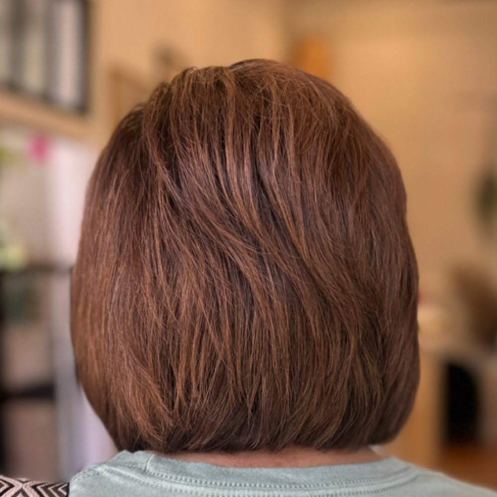 Root Color Only at Hair By Dantia in Midlothian, TX