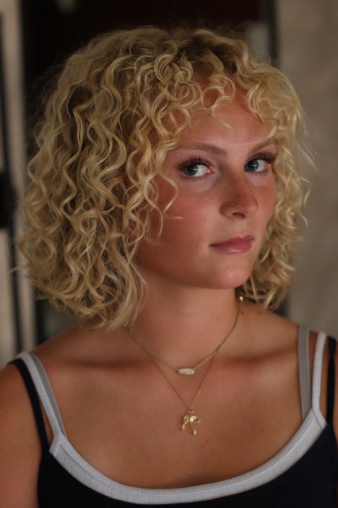 Dry Curly Cut- No Wash/style