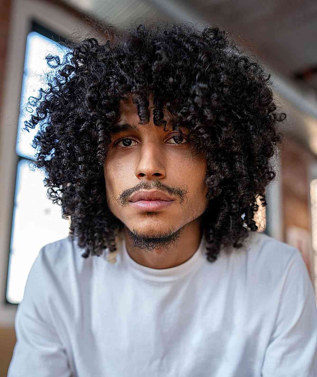 Dry Curly Cut
