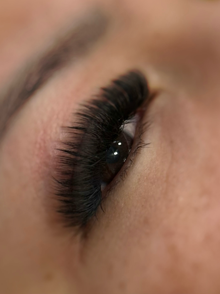 Mega Volume at Glo Beauty Studio LLC in Los ANGELES, CA