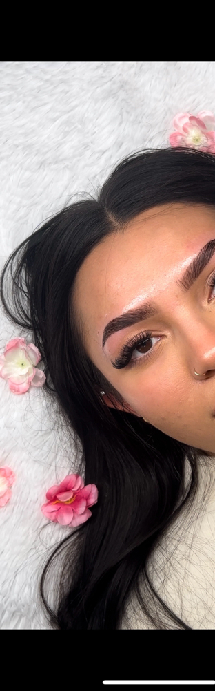 Brow Tint + Wax