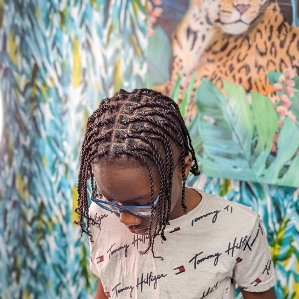 Boys Two Strand Twists at Braids By Bri in Nashville, TN