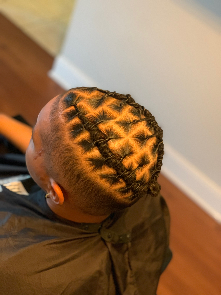 Starter Locs & Style