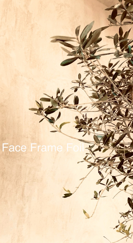 Face Frame Foil at Kristen  Hayes of North Shore Hair Co. in Port Jefferson, NY