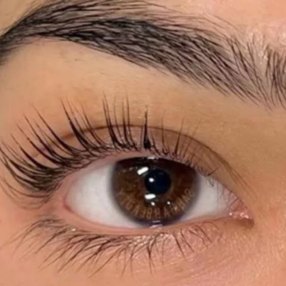 Korean Lash at Aspen Lash And Brow in Glenwood Springs, CO