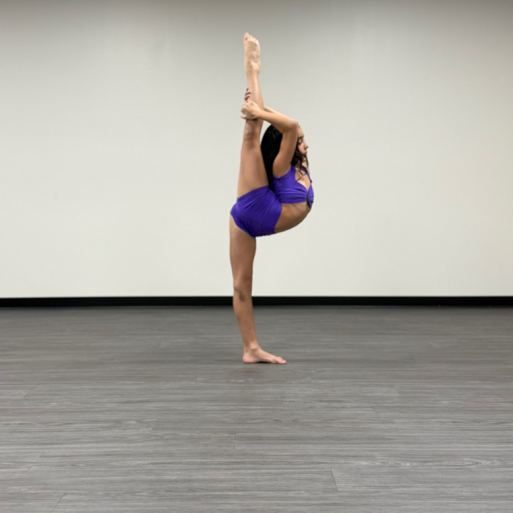 Private Lesson at The Dance Tutor 2 in Staten Island, NY