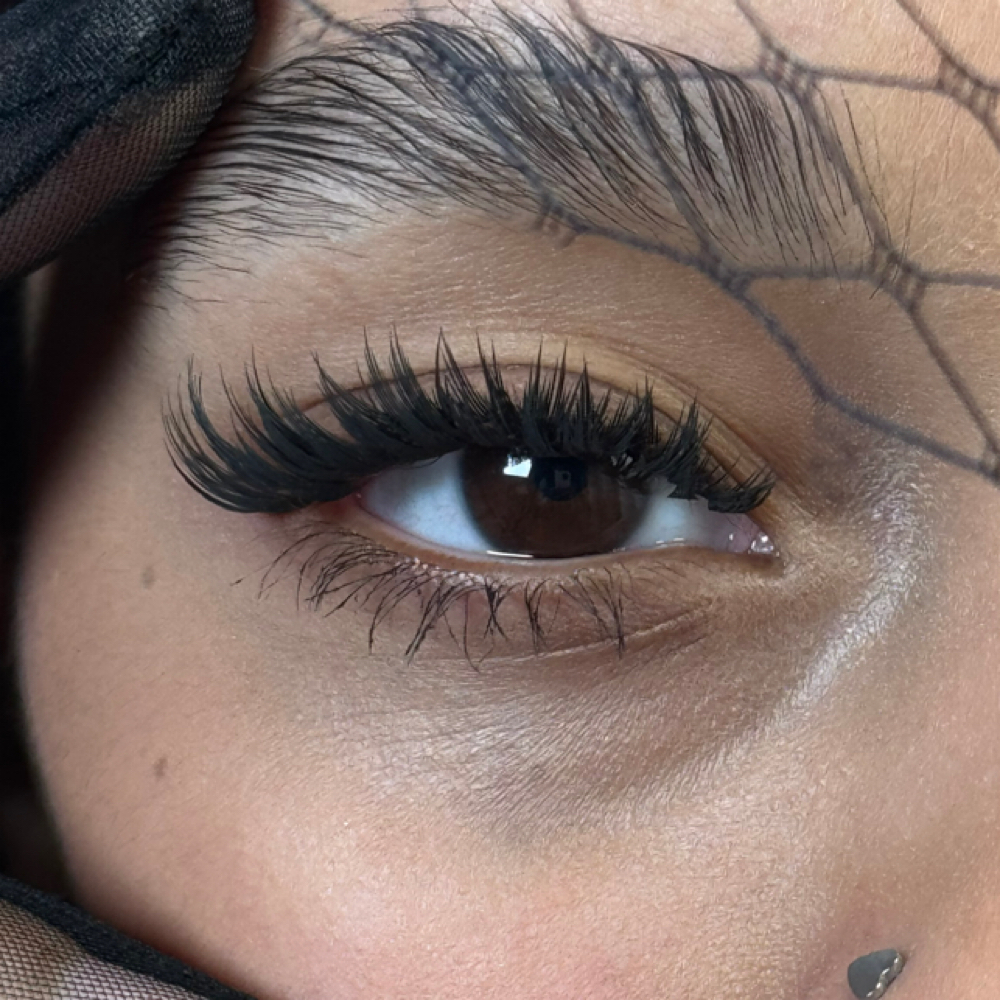 Anime Full Set at EJ LASH AND BEAUTY LLC in Silver Spring, MD