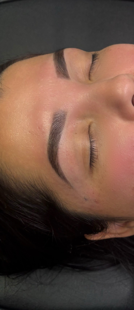 Henna + Wax + String Map at Eternal Ink Beauty in Glenwood Springs, CO