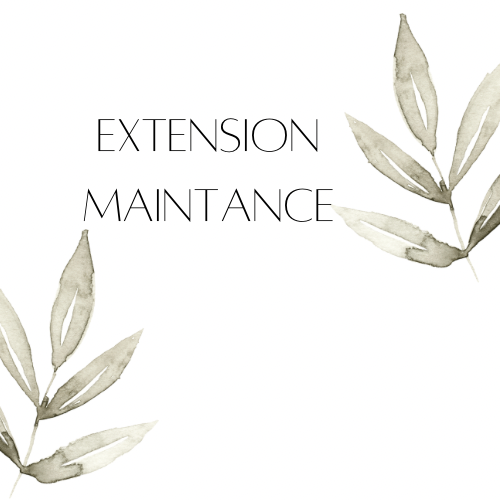 Extension Maintance