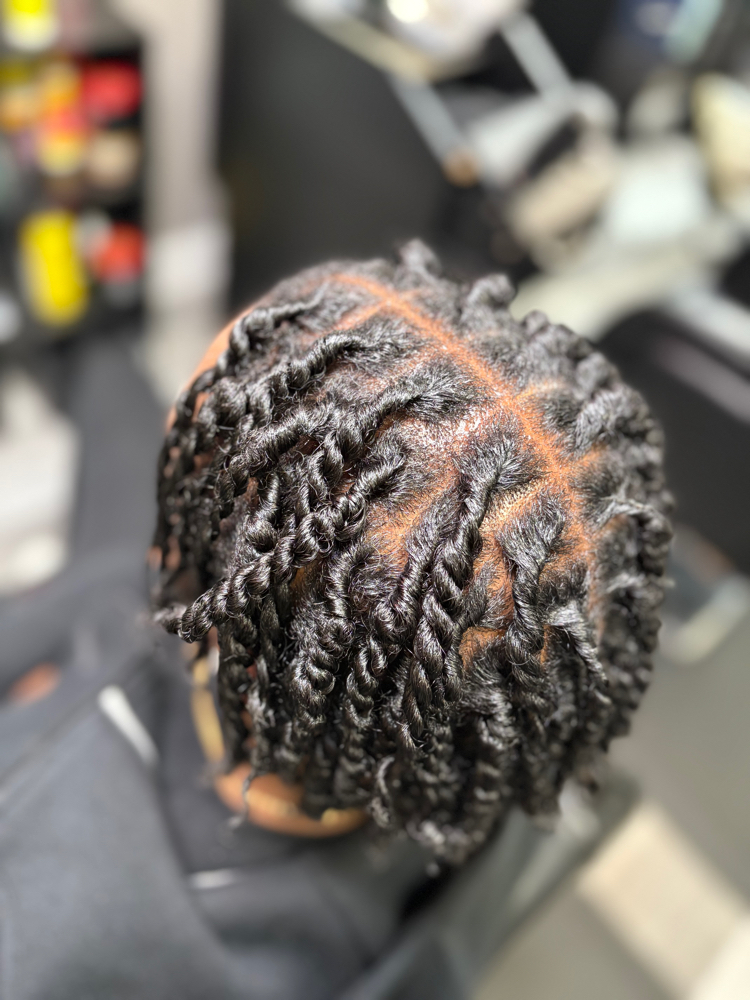 Stater Locs (Two Strand)