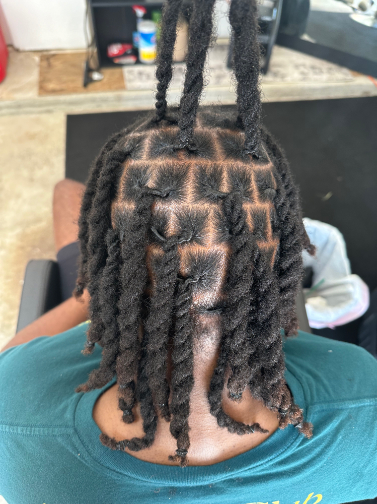 Retwist W/ 2 Strand Style