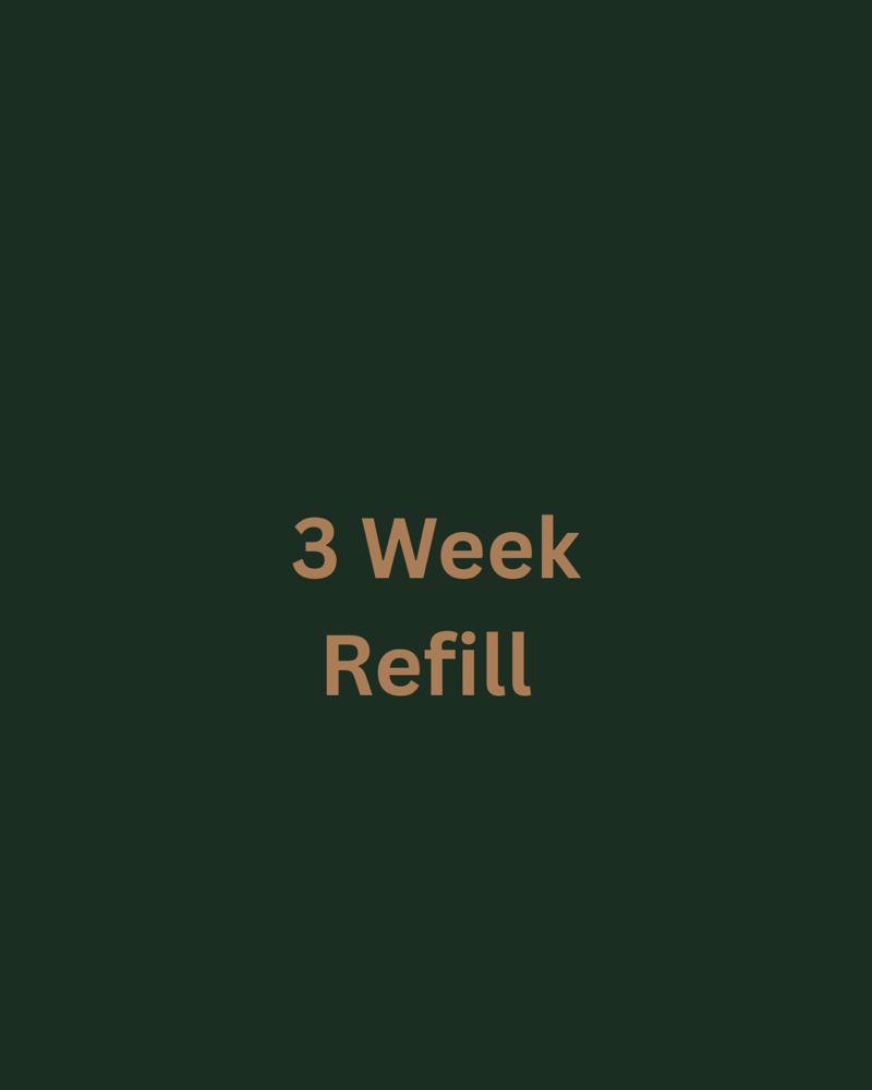 Lash Refill (3 Week)