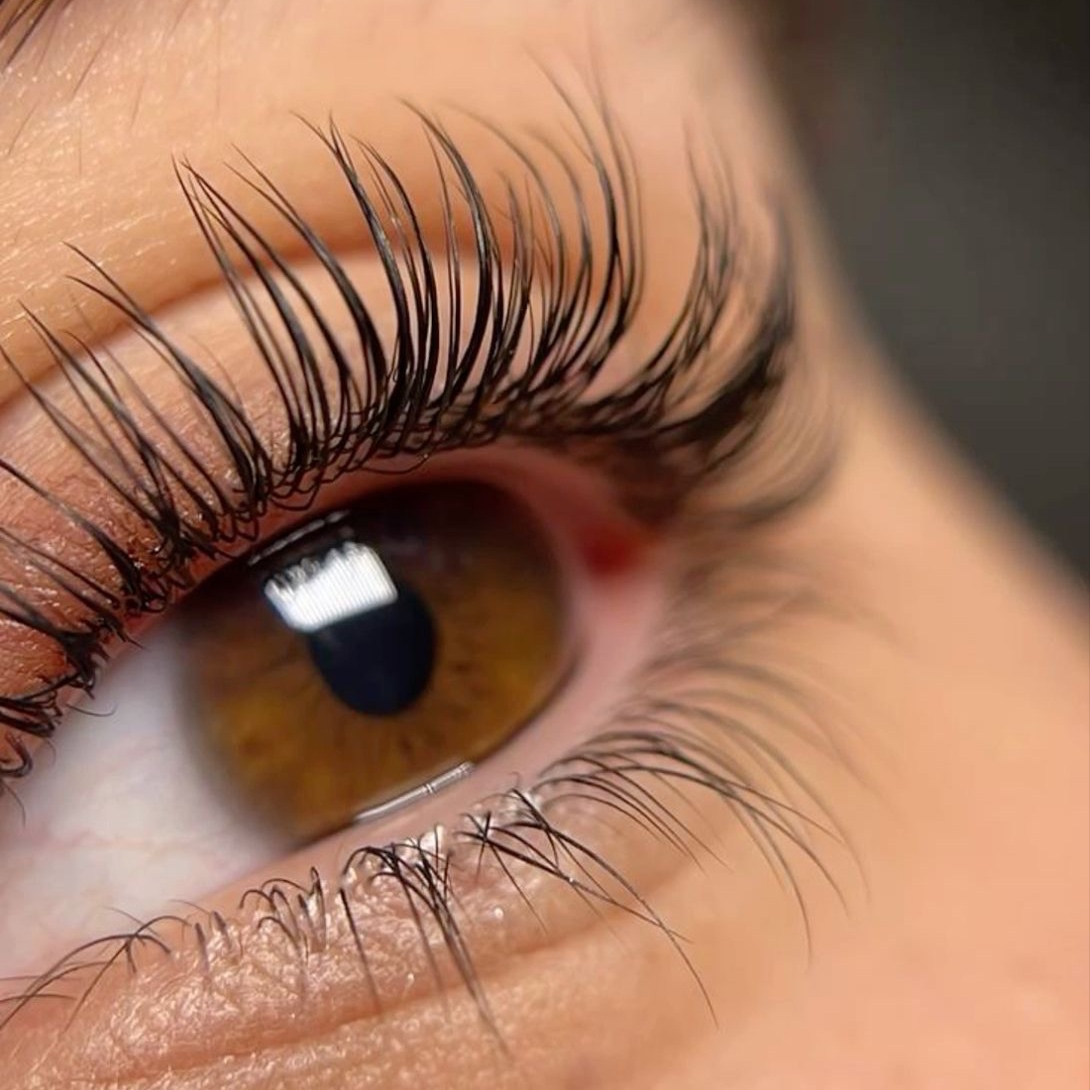 Lash Lift at Charlotte the Esti in Vernon, MI