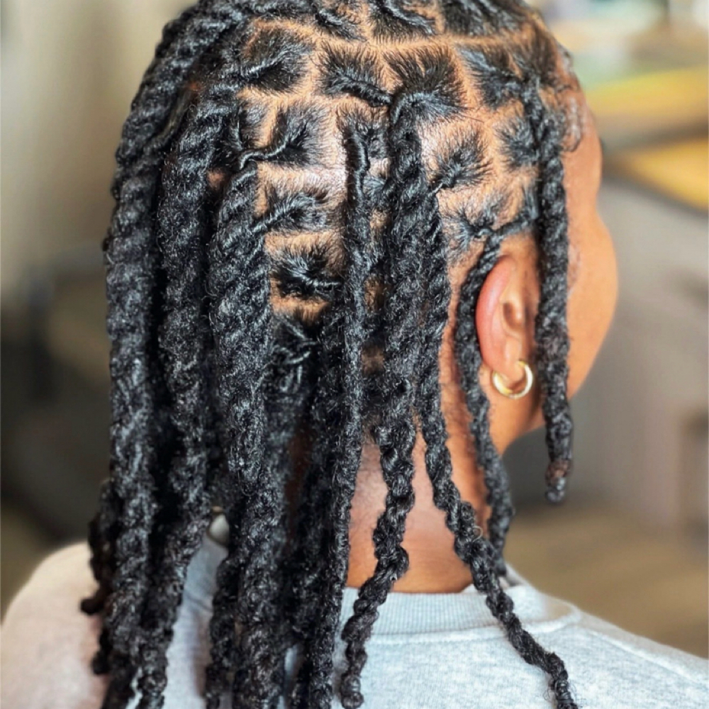 Adult Re-Twist And Two Strand Twist at The Loc Shop LLC in Mishawaka, IN