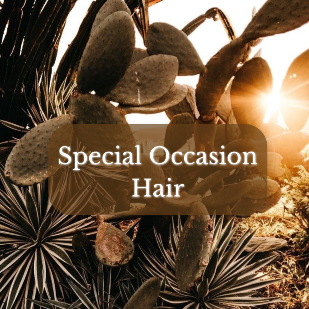 Special Occasion Hairstyle at Magnolia on Main in Keene, NH