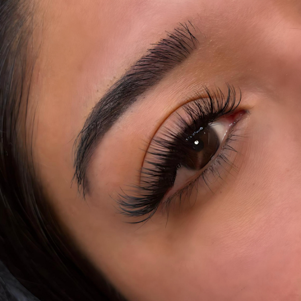 Volume Lashes Fill - 2 Week at KW Lash Lounge in Centennial, CO