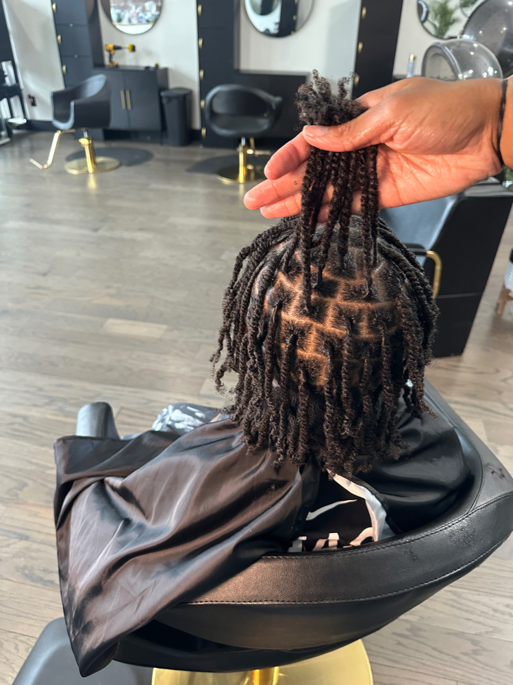 Starter Locs