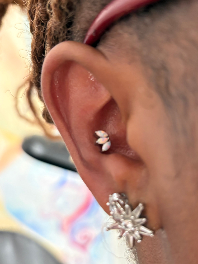 Conch Piercing