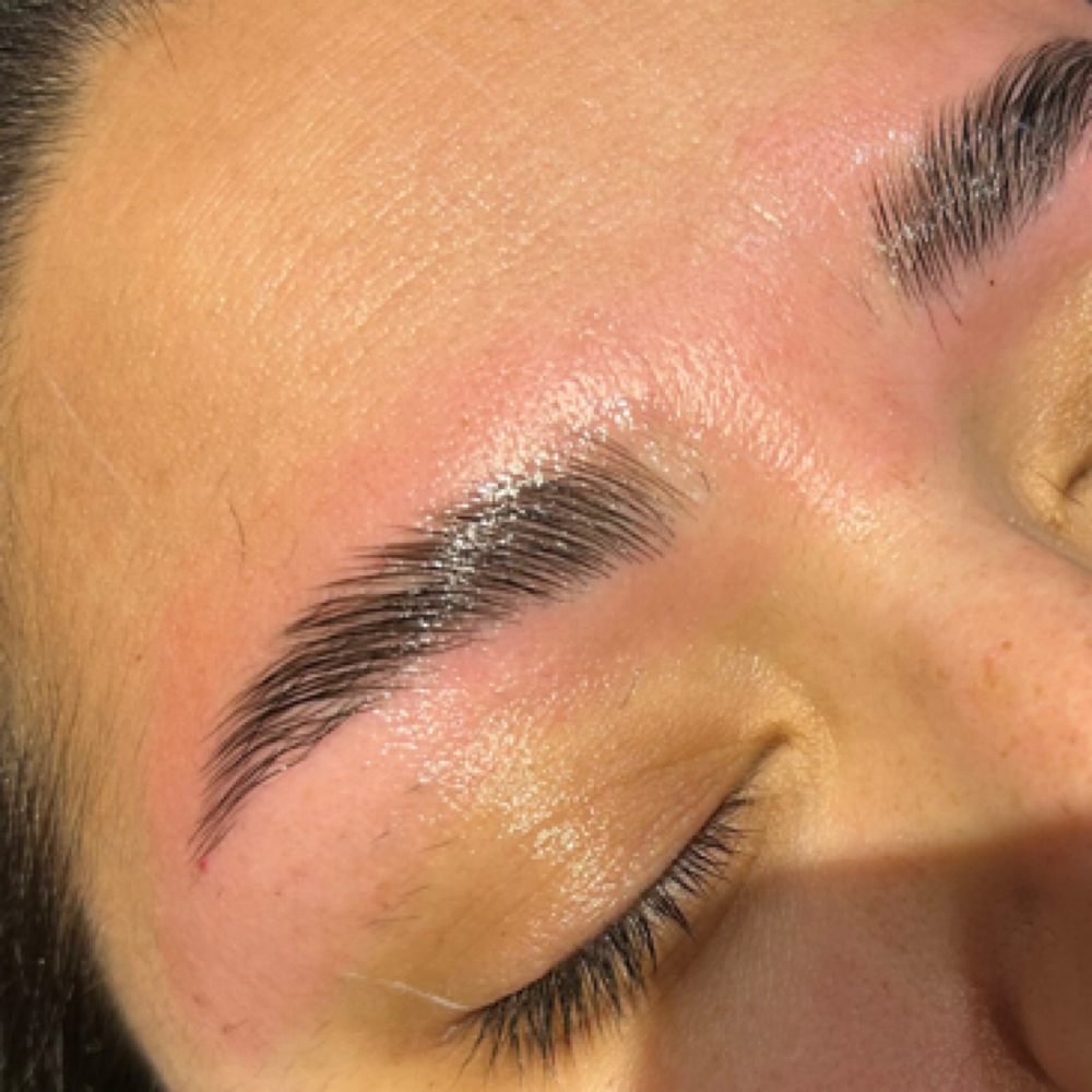 Brow Lamination + Hybrid Tint at Salon Nine22 in Whiting, IN
