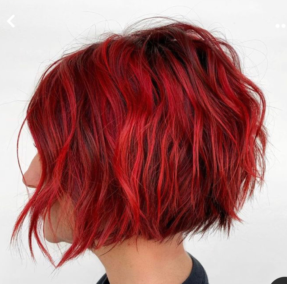 ✂️ Shampoo,Cut & Style