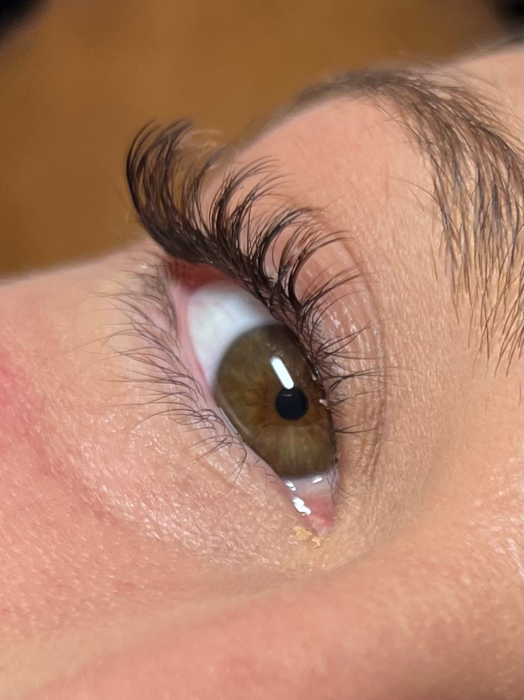 Classic/Natural Lashes