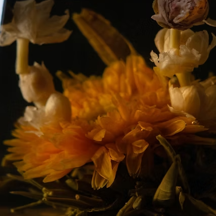 Bloom Aromatherapy Ritual