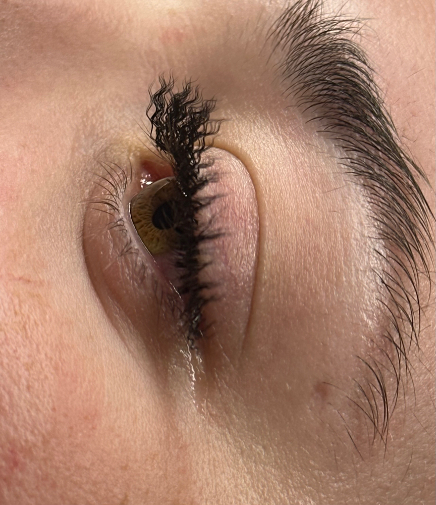Curly Lash Fill