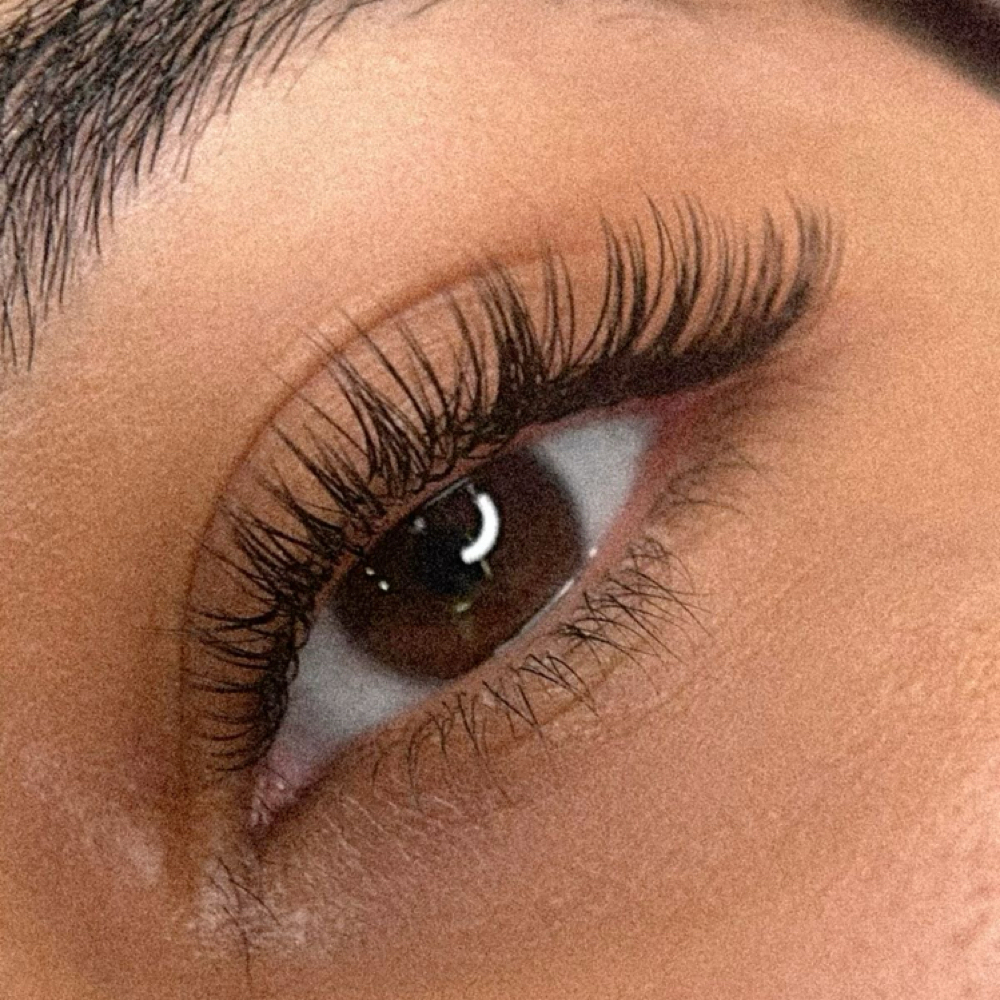 Classic Lash Extensions - Fill at Stripped Waxing Loft LLC in North Huntingdon, PA