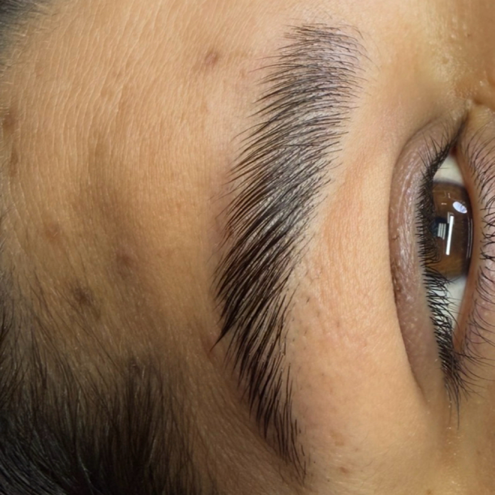 Eyebrow Lamination at 🎀Pink Diamond Beauty studio🎀 in Irving, TX