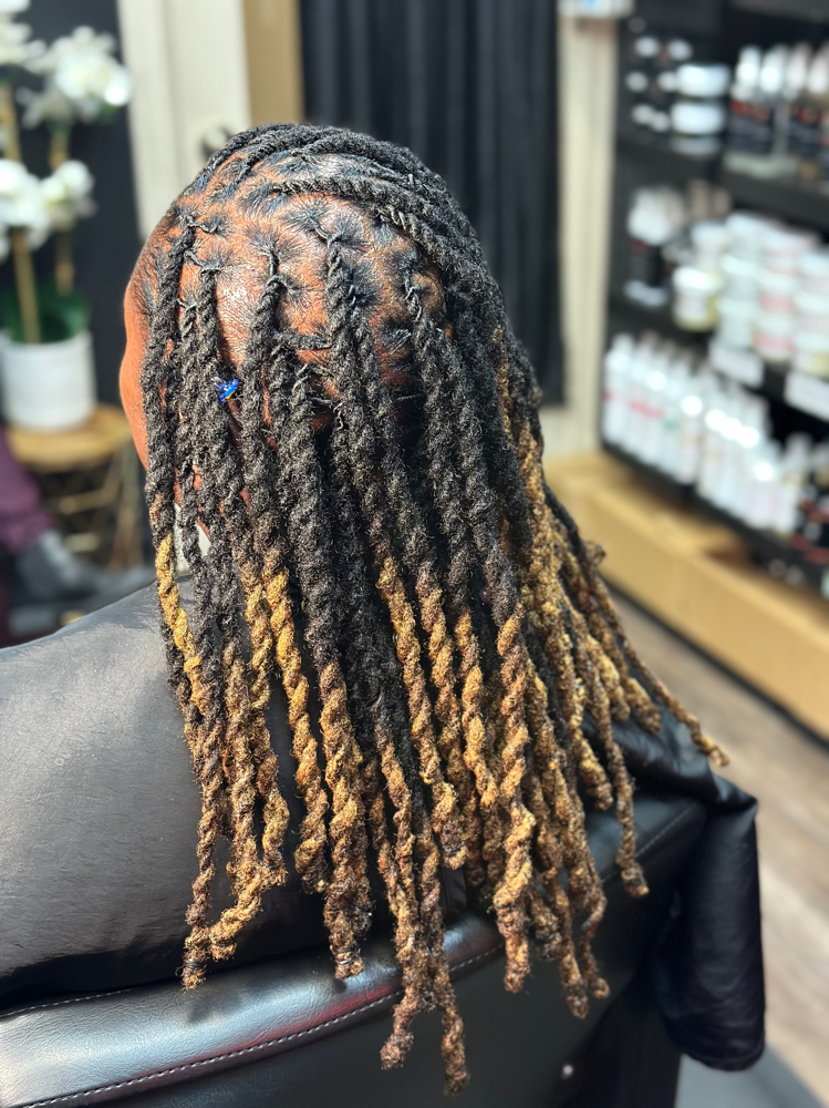 LOC WASH + RETWIST + 2 STRAND TWIST