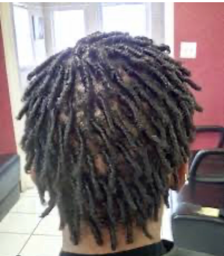 Re-twist Dreadlocks