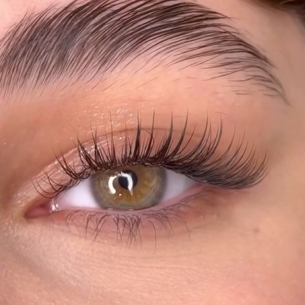 Classic Lash Fill at Refined Beauty Co in Sparta, TN