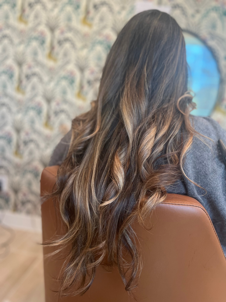 Womens Precision Cut