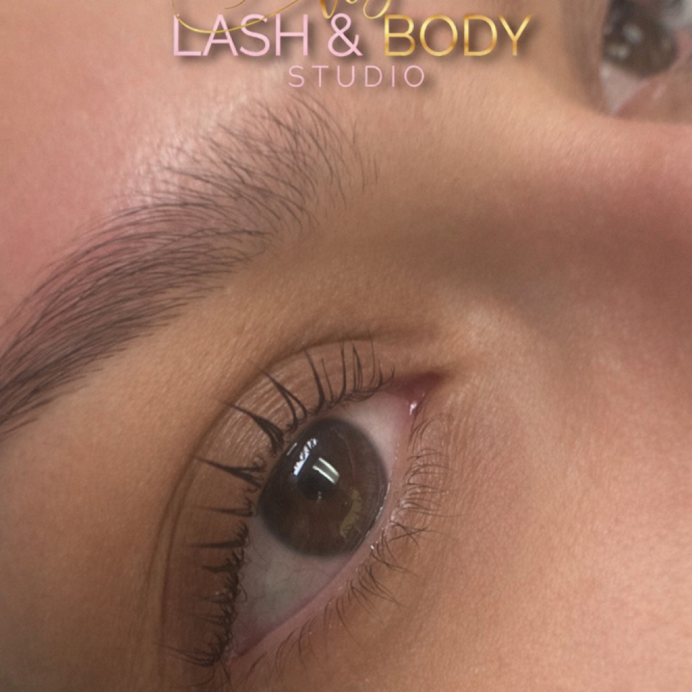 Lash lift & Tint at Lash & Body Studio, LLC in Houston, TX