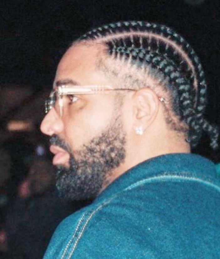 simple Drake braids