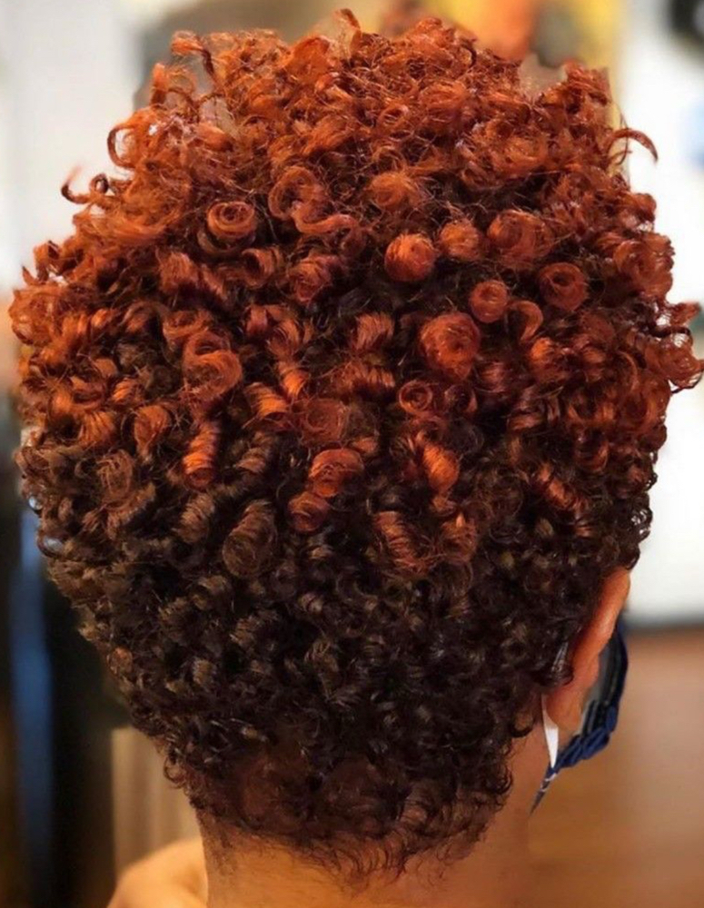 BIG Chop W/Custom Color & Coils