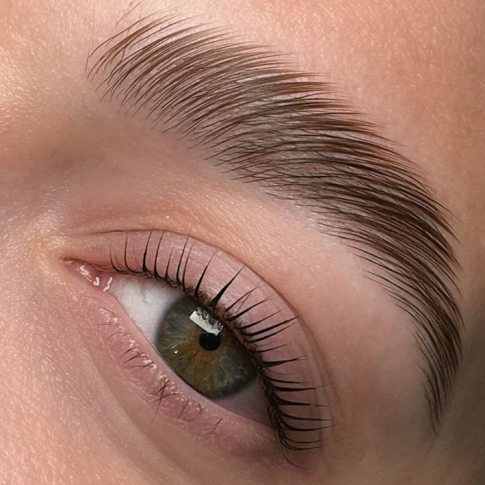 Brow Lamination & Shaping at ES BEAUTY HUB in Roswell, GA