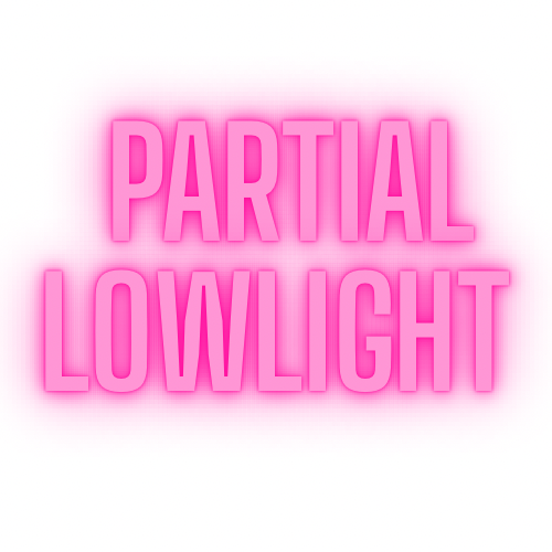 Partial Lowlight