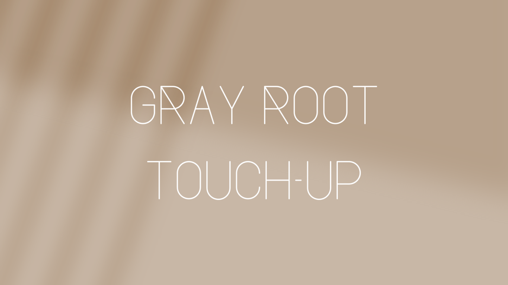 Gray Root Touch Up