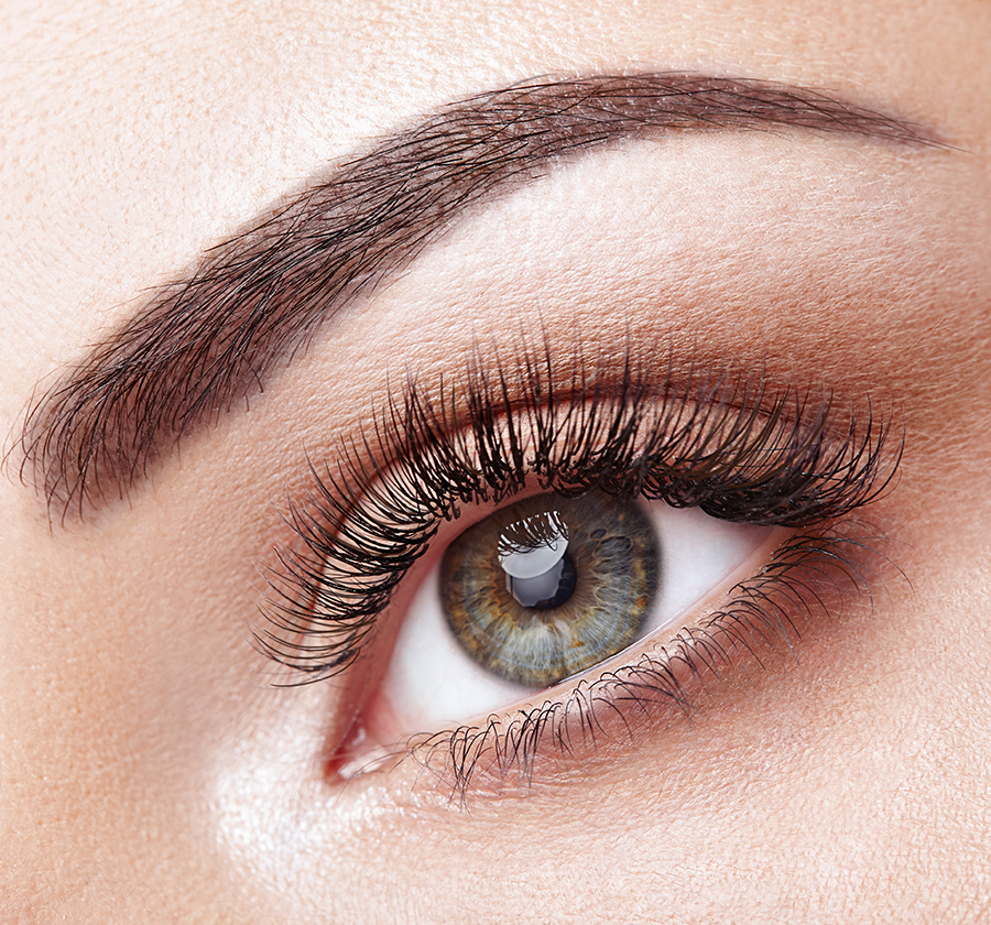 Powder Brows Consultat