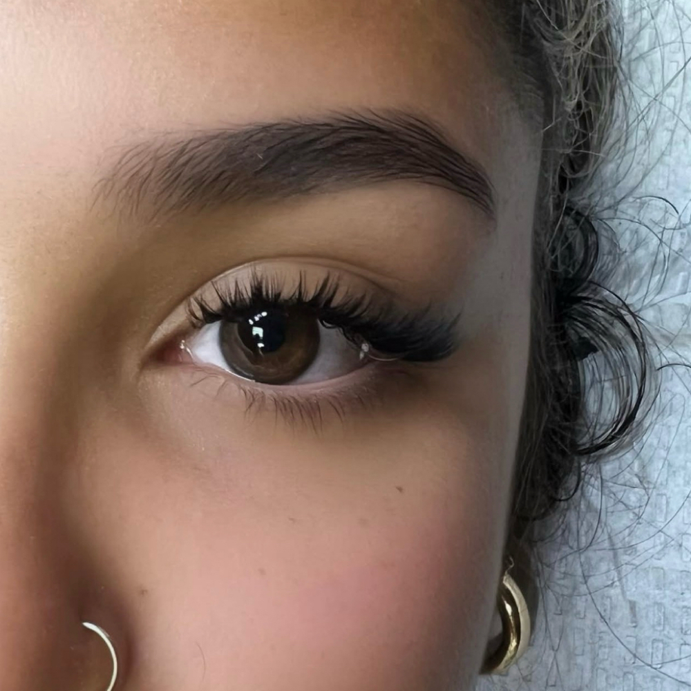 2 Week Fill at Alchemy Lash Co. in Providence, RI