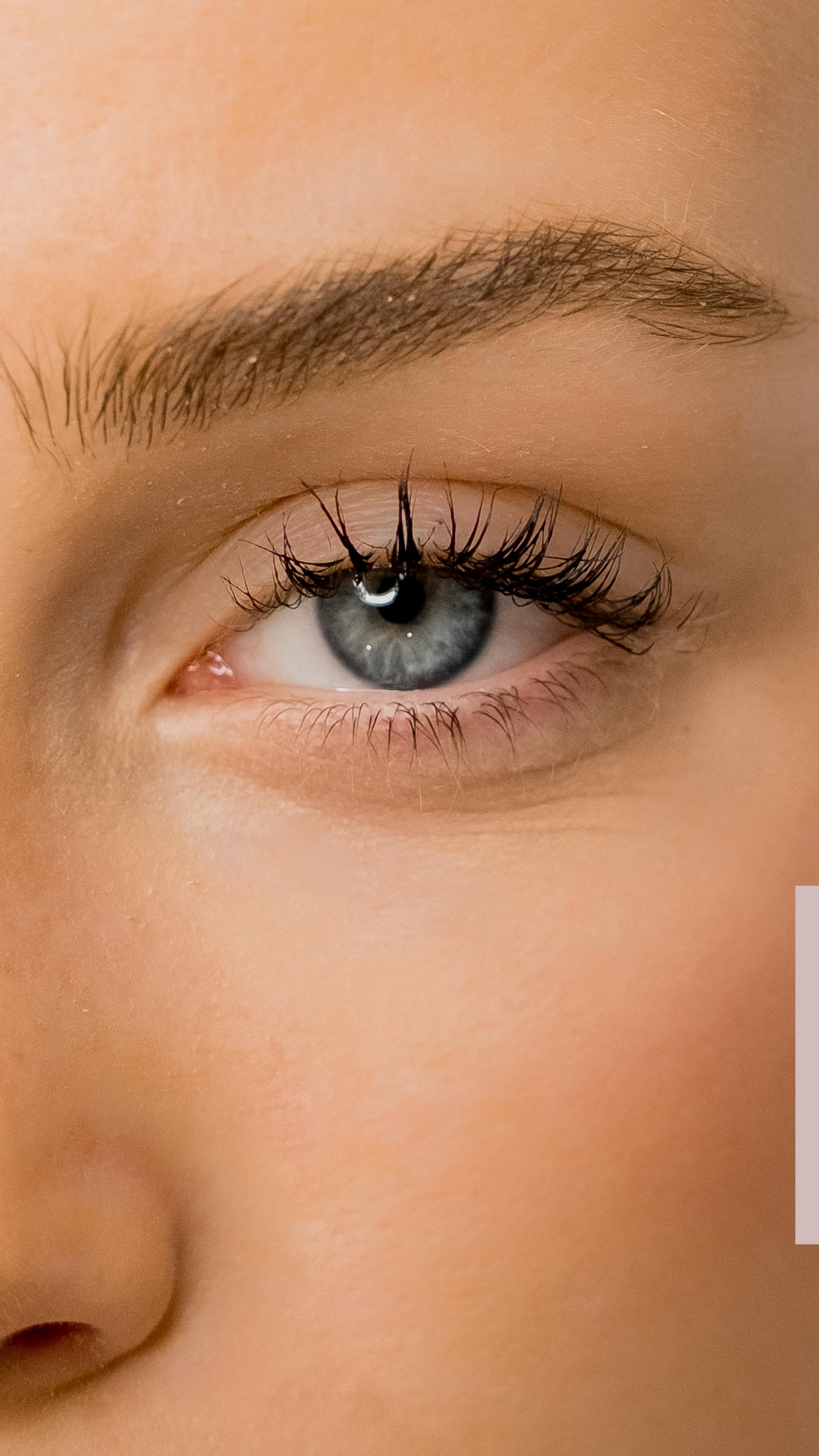 Brow Wax/ Lip Wax