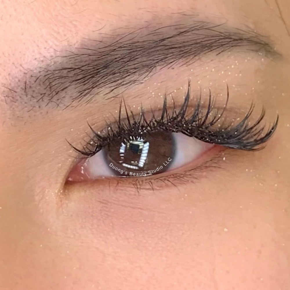 Kim K (Wispy) Volume Full Set