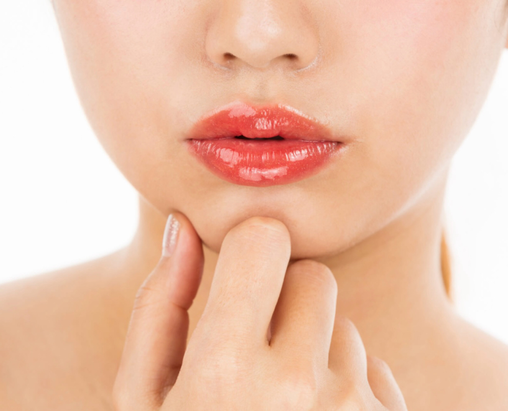 Lip Brush Yearly Touch Ups