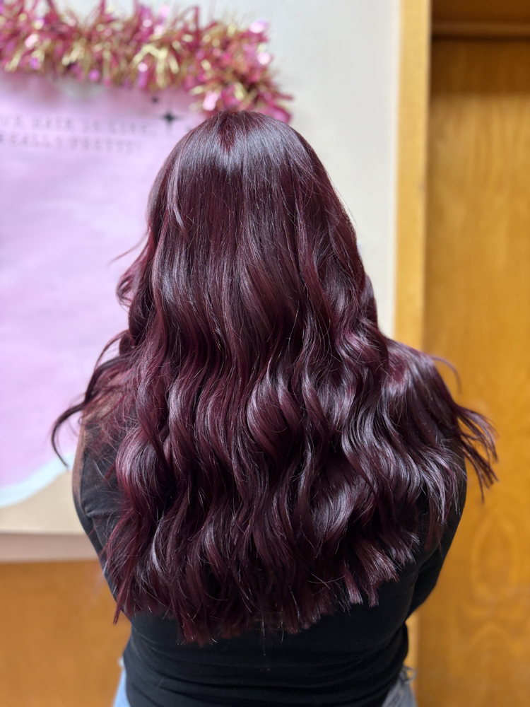 All Over color at Hair By Hailey Lang in Loves Park, IL