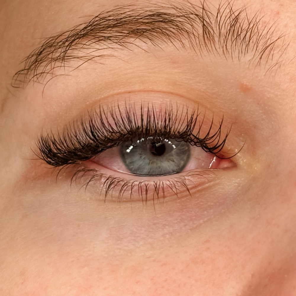 Weekly Lash fill (mini) at B. Esthetics + Co. in Gaylord, MI